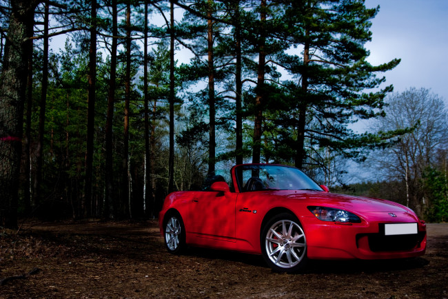 Обои картинки фото honda, s2000, автомобили, лес