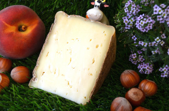 Картинка еда сырные+изделия сыр