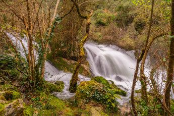 Картинка природа водопады река лес водопад