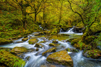 Картинка природа водопады водопад река лес