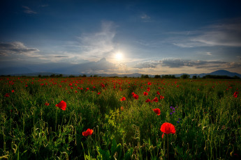 Картинка природа восходы закаты рассвет