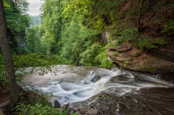 Картинка природа реки озера река лес