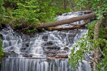 Картинка природа водопады лес река водопад