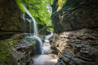 Картинка природа водопады река лес водопад