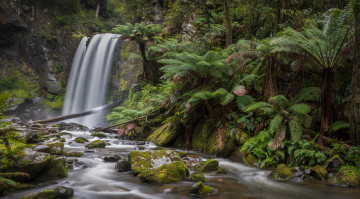Картинка природа водопады река водопад лес
