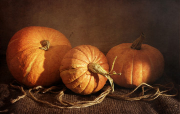 Картинка еда тыква овощи оранжевый