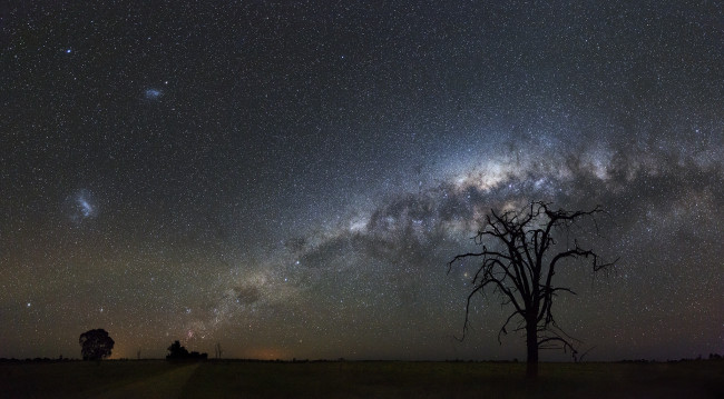 Обои картинки фото природа, деревья, пространство, звезды, космос, млечный, путь, ночь, силуэты