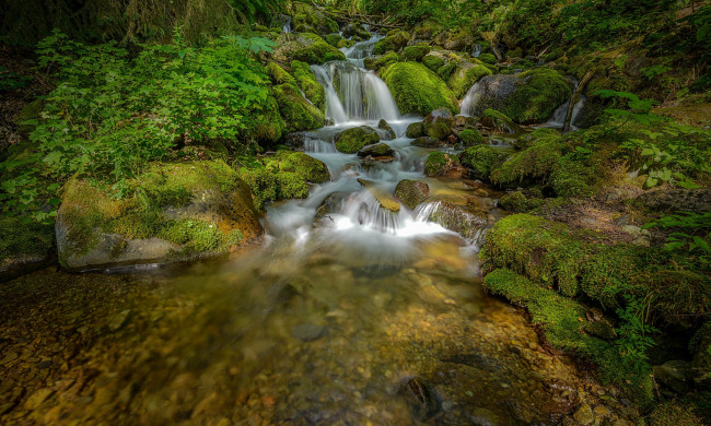 Обои картинки фото природа, водопады, водопад, река, лес