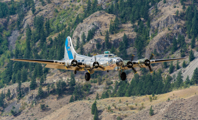 Обои картинки фото b-17 bomber, авиация, боевые самолёты, бомбардировщик