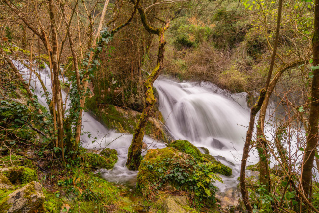 Обои картинки фото природа, водопады, река, лес, водопад