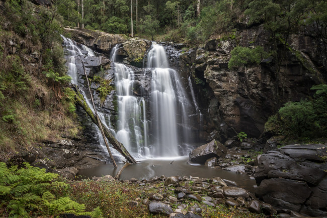 Обои картинки фото природа, водопады, водопад, лес, река