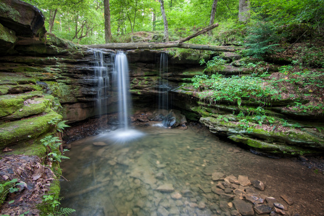 Обои картинки фото природа, водопады, водопад, лес, река