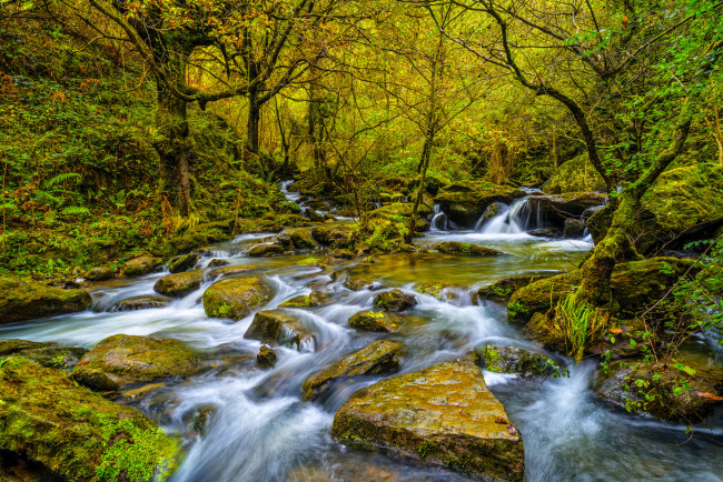 Обои картинки фото природа, водопады, водопад, река, лес