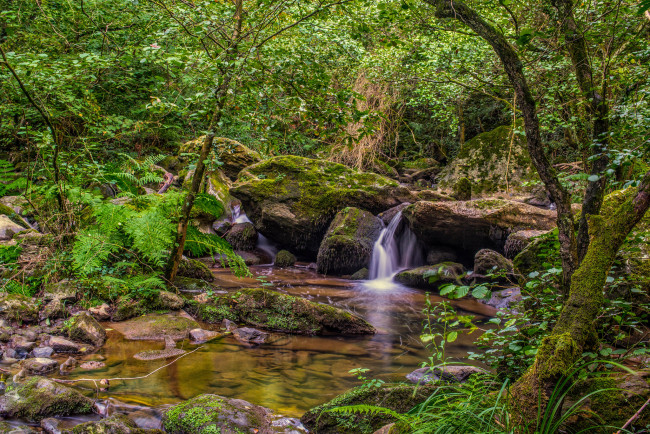 Обои картинки фото природа, водопады, водопад, река, лес