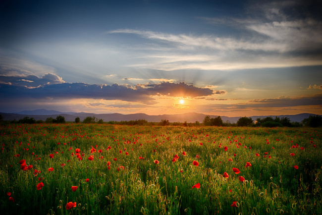 Обои картинки фото природа, восходы, закаты, рассвет