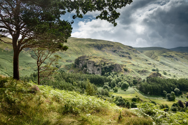 Обои картинки фото природа, пейзажи, растительность, холмы