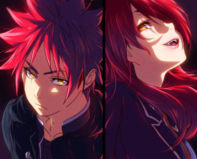 Картинка аниме shokugeki+no+soma двое