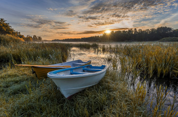 Картинка корабли лодки +шлюпки река лес