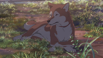 Картинка аниме kimi+no+na+wa kimi no na wa