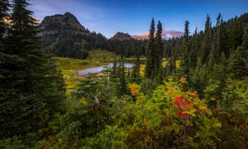 Картинка природа реки озера лес река