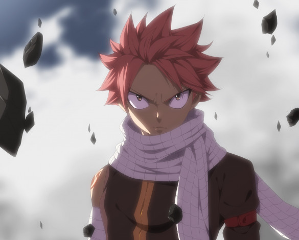 Обои картинки фото аниме, fairy tail, хвост, феи