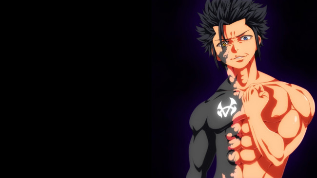 Обои картинки фото аниме, fairy tail, gray