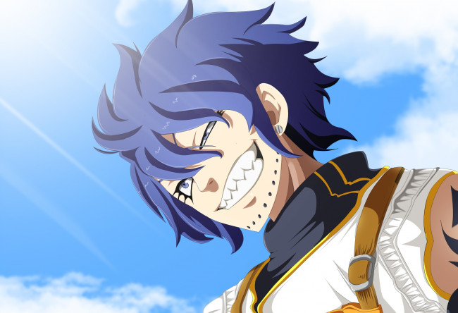 Обои картинки фото аниме, fairy tail, хвост, феи