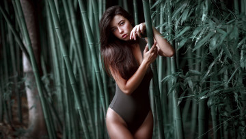 Картинка девушка девушки -unsort+ брюнетки темноволосые модель