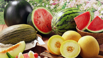 Картинка еда дыня дыни арбузы