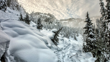 Картинка природа зима снег