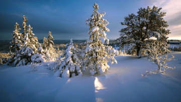 Картинка природа зима снег