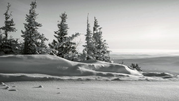 Картинка природа зима снег