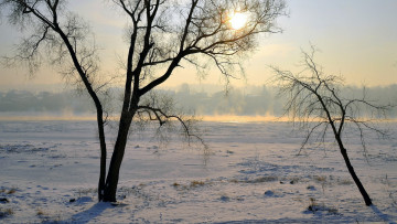 Картинка природа зима снег