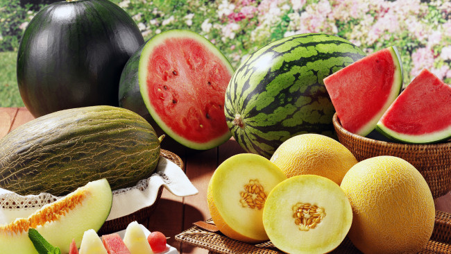 Обои картинки фото еда, дыня, дыни, арбузы