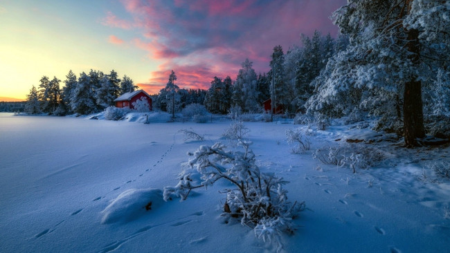 Обои картинки фото природа, зима, снег