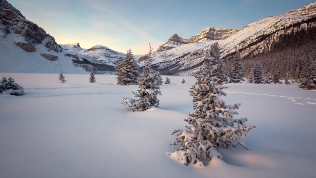 Обои картинки фото природа, зима, снег