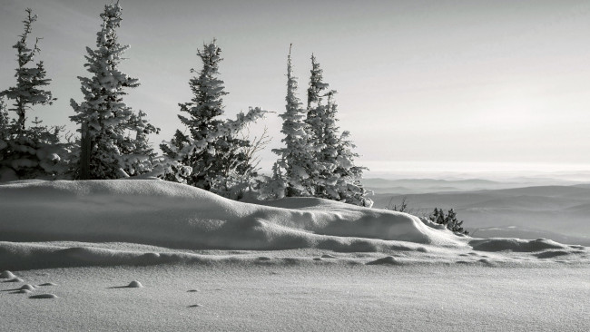 Обои картинки фото природа, зима, снег