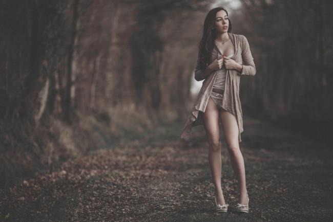 Обои картинки фото девушка, девушки, -unsort , брюнетки, темноволосые, модель