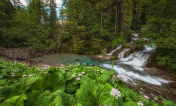 Картинка природа реки озера простор