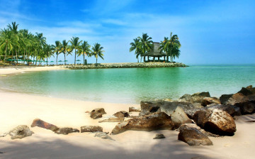 Картинка природа тропики пальмы лагуна пляж