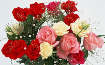 Картинка цветы розы