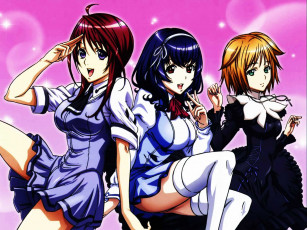 Картинка seikon no qwaser аниме