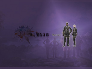 Картинка видео игры final fantasy xiv