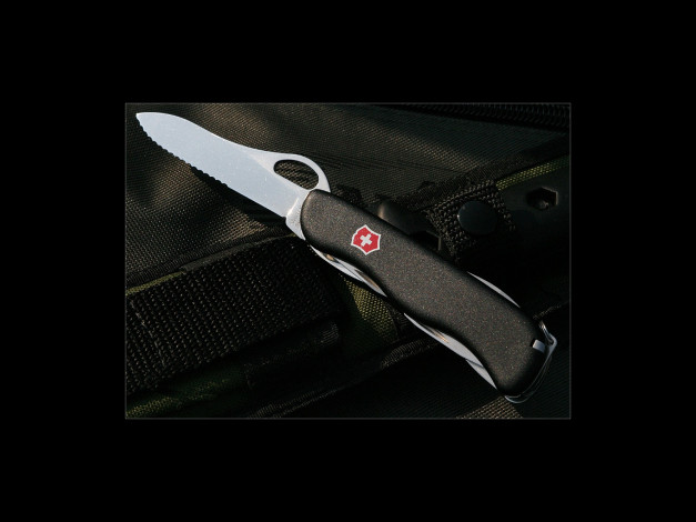 Обои картинки фото оружие, холодное