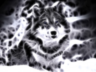 Картинка 3д графика animals животные собака фрактал