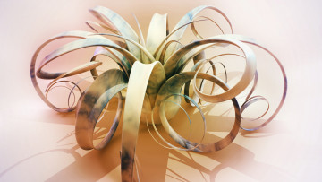 Картинка 3д графика flowers цветы абстракция