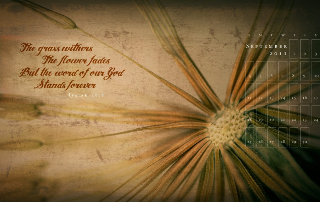 Обои картинки фото календари, рисованные, векторная, графика, писание, одуванчик