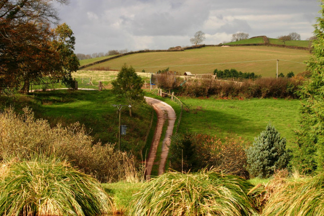 Обои картинки фото природа, дороги, поле