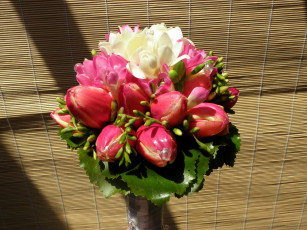 Картинка цветы тюльпаны букет