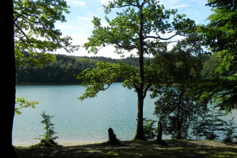 Картинка германия бреккерфельд природа реки озера река